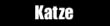 Katze